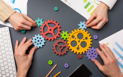 Capacity Building